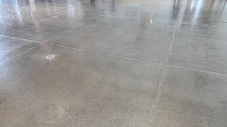 Carpeted floors and soft rugs, Porous natural stone floors, Unfinished wood floors, Laminate floors, Unsealed tile and grout, Waxed or oiled floors, Plastic mats or surfaces, TV and computer screens, Reclaimed wood floors and home accents, Fiberglass showers and tubs, Concrete floors
