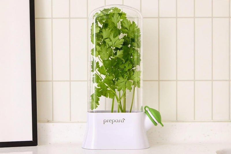 Mistake: Leaving Your Greens Loose in the Crisper Drawer, Mistake: Storing Fresh Produce in Sealed Plastic Bags, Mistake: Leaving Berries Exposed to Air and Trapped Moisture, Mistake: Keeping Fresh Herbs Too Dry