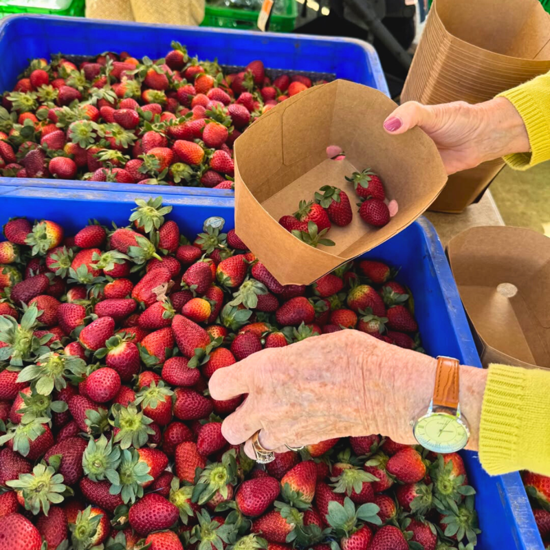 The best farmers markets in Sydney,      Northside Farmers Market   ,      Oxford Street Farmers Markets   ,      Carriageworks Farmers Market   ,      Summer Hill Flour Mill Markets   ,      Orange Grove Market Lilyfield   ,      Bondi Farmers Market   