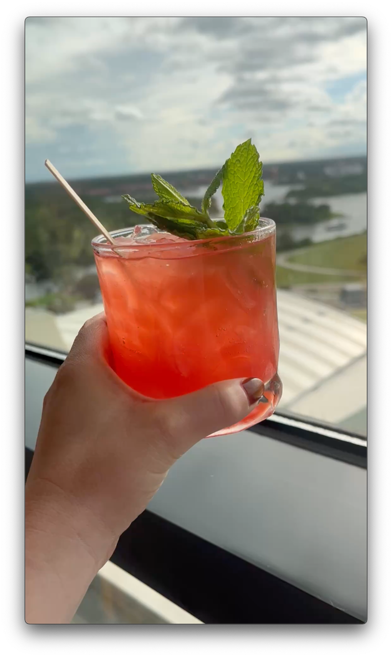 Day One: Animal Kingdom, Day Two: Epcot, Day Three: Magic Kingdom, Monorail Crawl