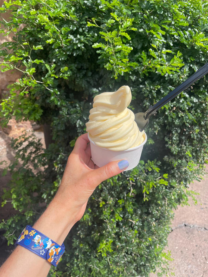 Day One: Animal Kingdom, Day Two: Epcot, Day Three: Magic Kingdom, Monorail Crawl