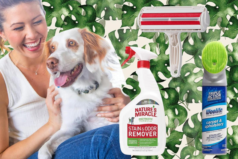 Nature's Miracle stain and odor removing spray, Chom Chom pet hair roller, Bissell Little Green carpet cleaner, Woolite carpet and upholstery cleaner, Uproot Clean Pro pet hair remover bundle, Nature's Miracle Advanced stain and odor spray, Bissell Little Green ProHeat cleaner, OxiClean carpet and rug cleaner, Rocco & Roxie stain and odor eliminator, OXO rubber fur broom, Related...