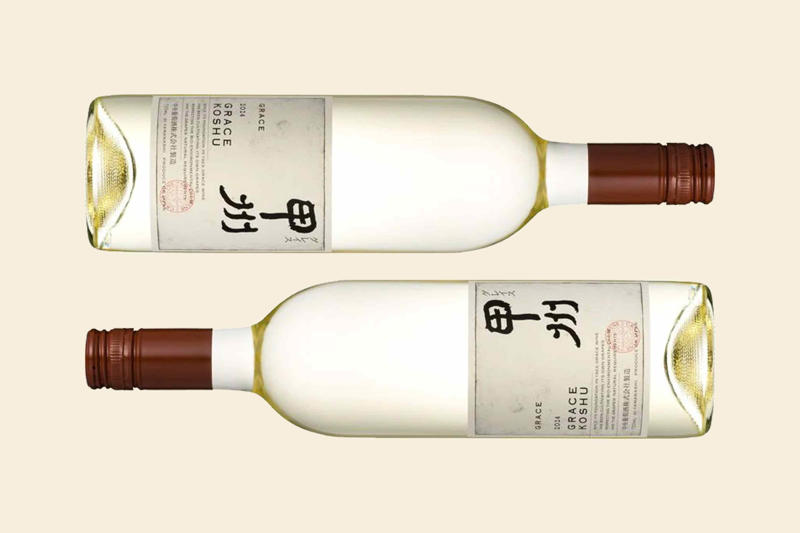 Major growing regions, Key Varietals, Food Pairings, Wines to Try
