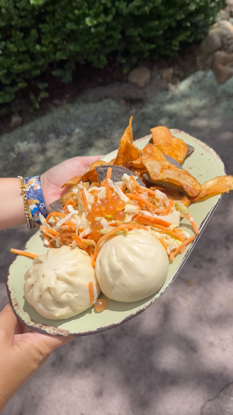 Day One: Animal Kingdom, Day Two: Epcot, Day Three: Magic Kingdom, Monorail Crawl