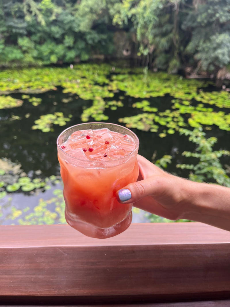 Day One: Animal Kingdom, Day Two: Epcot, Day Three: Magic Kingdom, Monorail Crawl