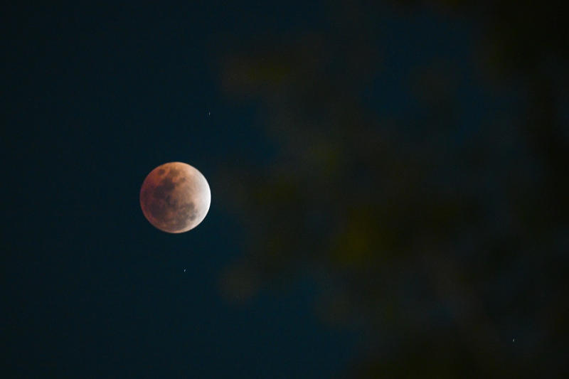 See the spectacular beauty of the red moon with lunar eclipse photos