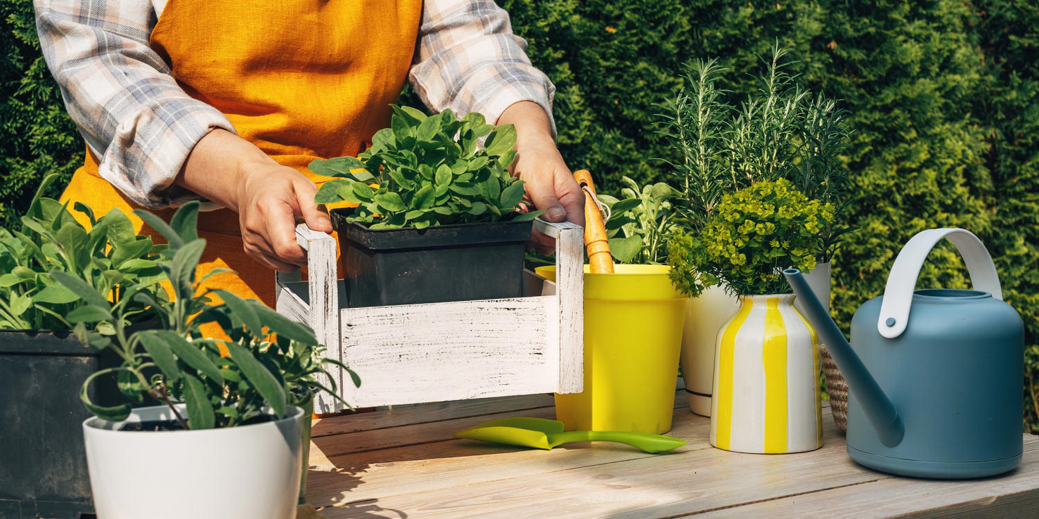 The best products for an herb garden in 2026 , Potting soils and fertilizers, Planters and pot sets, Tools and accessories, How I picked the best herb gardening essentials, Meet our gardening experts, Why trust NBC Select?
