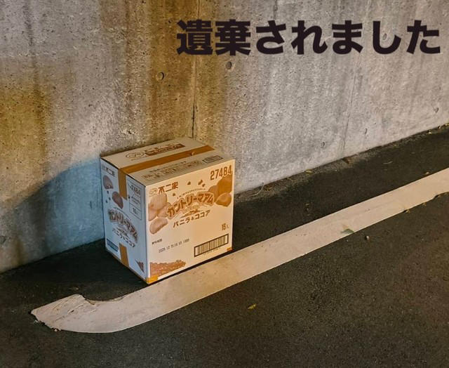 「発見が翌朝なら…」　偶然が救った命, 「身勝手な人間が気持ちを楽にするための手紙」, ビビりだけど、なでると小さくゴロゴロ, 遺棄は犯罪　活動を止めかねない“イレギュラー”, 飼えなくなったときの選択肢はある