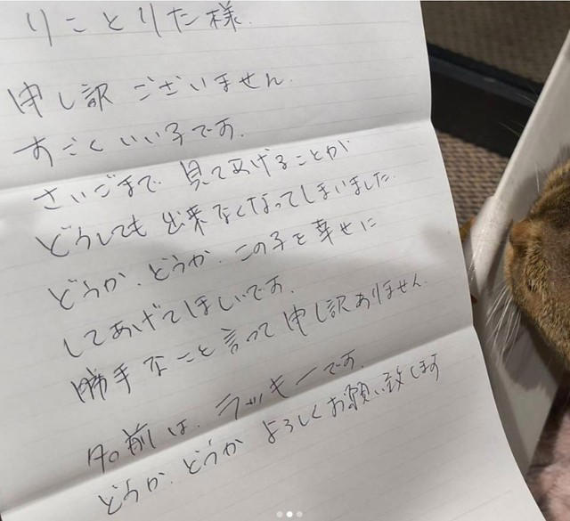「発見が翌朝なら…」　偶然が救った命, 「身勝手な人間が気持ちを楽にするための手紙」, ビビりだけど、なでると小さくゴロゴロ, 遺棄は犯罪　活動を止めかねない“イレギュラー”, 飼えなくなったときの選択肢はある