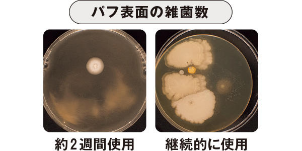 【ゆらぎにくくなる秘訣1】胸鎖乳突筋ストレッチで、顔まわりの滞りを解消, 【ゆらぎにくくなる秘訣2】飲むヒアルロン酸で、水分保持力を高める, 【ストレスゆらぎをケア】アロマで気持ちを落ち着かせて、肌の負担軽減作戦, 【寝ている間の摩擦も考慮】枕カバーは綿100％を, 【生理周期のゆらぎを軽減】納豆、サバ、ヨーグルトで肌力強化, 【ゆらいで肌のカバーさえつらかったら】リップの一点集中塗りで、目線を誘導せよ, 【メイクをするとかゆくなる人は】パフの清潔化計画で雑菌を滅, 【乾燥由来のゆらぎには】ミスト化粧水の複数持ち＆まめすぎ保湿を, 【ゆらぎで目立つ唇の縦ジワは】“白み系リップ″を避けて、ふっくら感増量, 【肌の酸化からくるゆらぎに】ティッシュオフ＆ミストのW使いで安定させる, 【洗剤が刺激になることも】洗顔タオルの導入で、肌トラブル回避, 【吹き出物ができちゃったら】飲むケアで徹底撲滅, 【実はゆらぎやすい頭皮は】38℃以下のぬるま湯洗浄で潤いキープ, 【ゆらいだ肌の刺激を軽減】“こすらない”を徹底し、化粧水をつけるのもコットンパックで, 【全身ゆらいでかさついちゃうなら】柔軟剤も敏感肌仕様にチェンジ！, 【お風呂で刺激を感じたら】塩素オフで肌のバリア機能をキープ, 【ゆらぎすぎてなにもつけられない】泡の日焼け止めで摩擦レスなUV対策を, 【ケアしていてもゆらぎ続けるなら】運動で肌の代謝をサポートするのも手