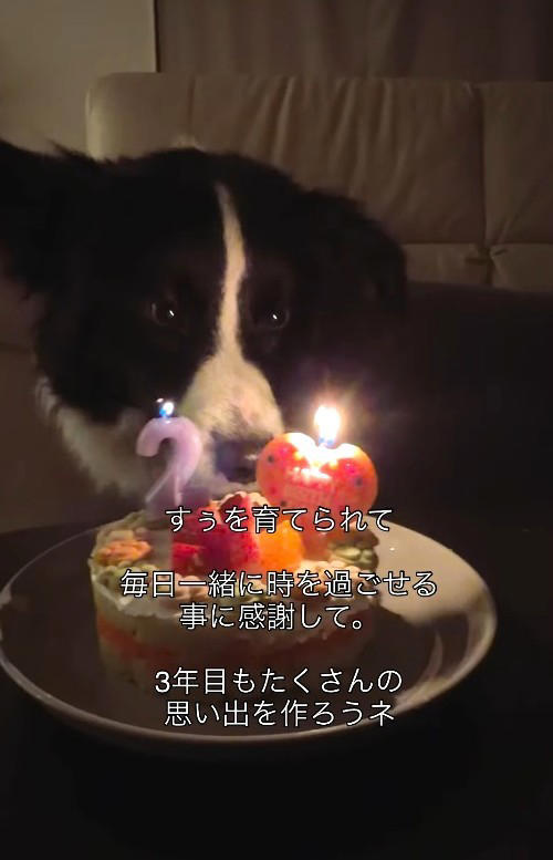 「怖い人だったらどうしよう」最初は警戒も, 犬は“人を選ぶ”, 先代犬との別れが教えてくれたこと, 「ありがとう、おじさん」に込めた思い, “信じにくい時代”だからこそ