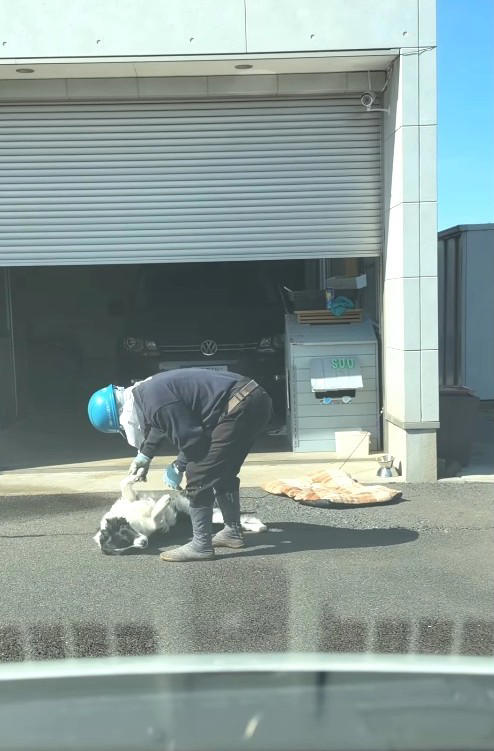「怖い人だったらどうしよう」最初は警戒も, 犬は“人を選ぶ”, 先代犬との別れが教えてくれたこと, 「ありがとう、おじさん」に込めた思い, “信じにくい時代”だからこそ