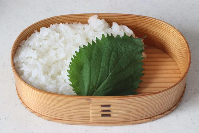 満足感たっぷり！「ささみ海苔」「にんじんとキャベツの塩昆布バター」2品弁当, 1品目 ささみ海苔, 2品目 にんじんとキャベツの塩昆布バター, 2品弁当の詰め方プロセス, 「心が楽になる2品弁当」のルール
