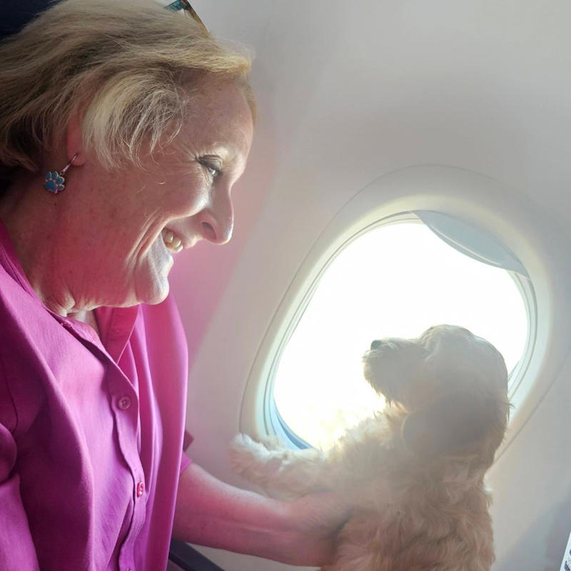 What is a flight nanny for your pets? , How do pet nannies work? , How much do pet nannies cost? , How to get your pet ready for travel
