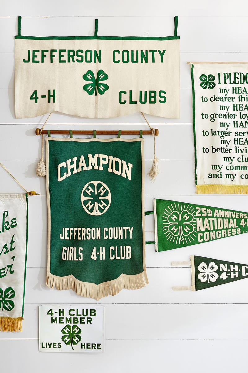 Jadeite, 4-H Memorabilia, Girl Scout Gear, Cabbageware, Passata Bowls , Landscape Paintings, McCoy Pottery, Belleek Dinnerware, Depression Glass