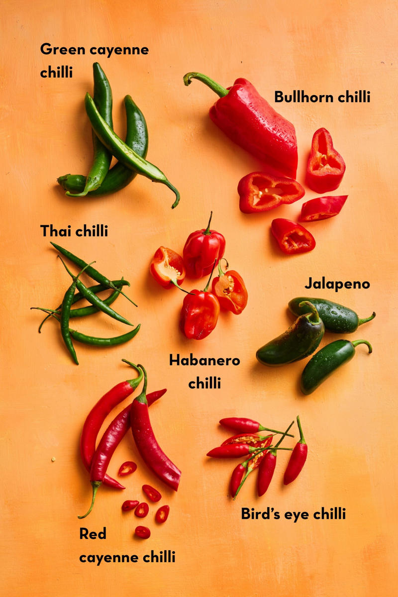 Growing conditions for chilli plants, Melissa King’s favourite chilli varieties, Where to plant chillies, How to prune a chilli plant, How to grow chillies from seed with Charlie Albone, Pests that affect chilli plants