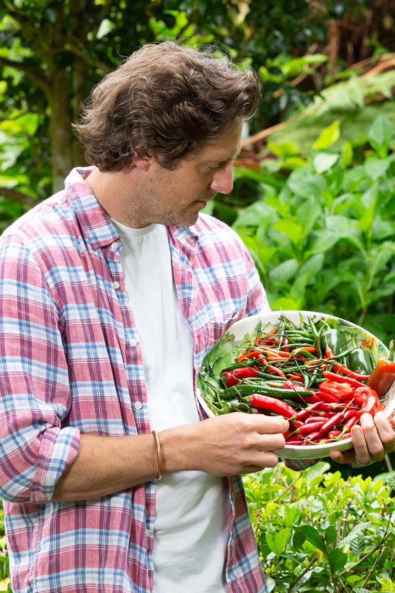 Growing conditions for chilli plants, Melissa King’s favourite chilli varieties, Where to plant chillies, How to prune a chilli plant, How to grow chillies from seed with Charlie Albone, Pests that affect chilli plants