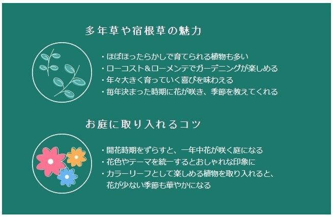 この春ガーデンにお迎えしたい「いまが旬の多年草」3選, 鮮やかカラーがひときわ目を引く「オステオスペルマム」, シックなカラーリーフ「ヒューケラ」, うさぎの耳＆心地よい香りが大人キュートな「フレンチラベンダー」, 鮮やか・シック・大人キュート。旬の多年草で庭を自分らしく, 【ガーデニング豆知識】多年草や宿根草の魅力とは？, 多年草や宿根草の魅力, お庭に取り入れるコツ