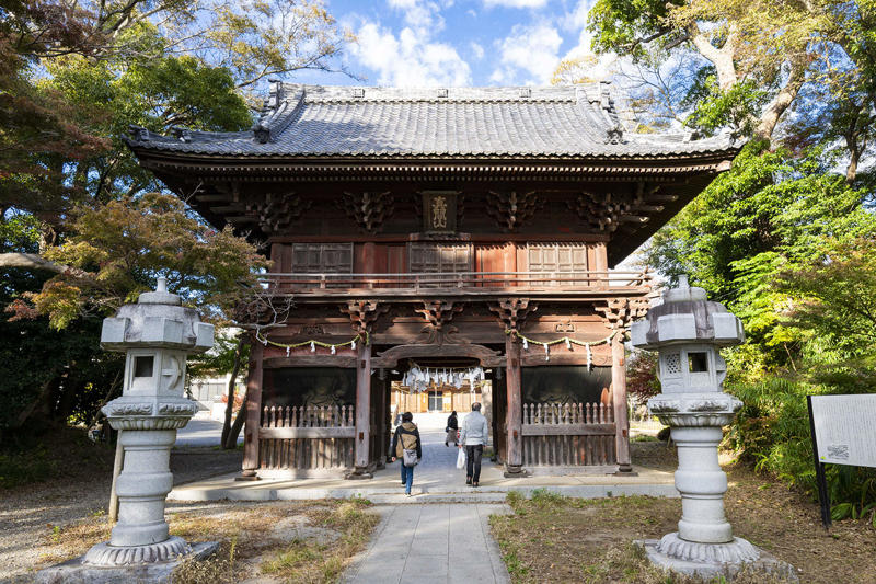 【1】元“魚屋さん”で街の人と憩う, お茶を手に魚と本でつながる人の輪『fish and books azumaya』, 【2】山崎製パンの聖地を巡礼！, ご当地ランチパックは水曜を狙うべし『ヤマザキプラザ市川店』, 【3】民藝の系譜を味わい倒す, 和み系雑貨と焼き菓子にほっこり『hana クッキーと本とくらし』, 【4】創作意欲が街をつくる, アートで変身し続ける商店街の一角『ギャラリーf』, 【5】神保町からやってきた老舗のロシア料理店, 市川流にロシアを楽しむ『ろしあ亭』, 【6】ここでしか味わえないお酒と出合う, ポツンと一軒酒屋でほろ酔う『ささ蔵 成桝』, 【7】アートなラビリンスを探検, 元銭湯を生かした秘密基地『アトリエ＊ローゼンホルツ』, まるごと迷宮の街をさまよう面白さ, モノもイベントも、のほほんと手作り