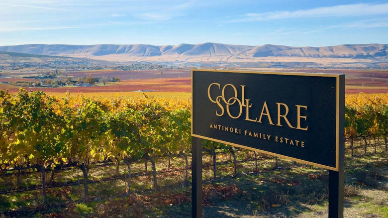 Marchesi Vineyards: Hood River, Oregon, LaStella Winery: Osoyoos, British Columbia, Durant at Red Ridge Farms: Dundee Hills, Oregon, Col Solare: Benton City, Washington, Apolloni Vineyards: Forest Grove, Oregon, Methodology