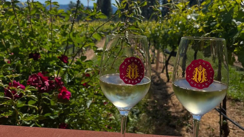 Marchesi Vineyards: Hood River, Oregon, LaStella Winery: Osoyoos, British Columbia, Durant at Red Ridge Farms: Dundee Hills, Oregon, Col Solare: Benton City, Washington, Apolloni Vineyards: Forest Grove, Oregon, Methodology
