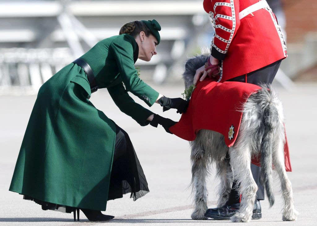 Royal arrival, Traditional shamrock, Pinning on the dog, Kate's outfit in full, Presenting shamrock, A laugh at the parade, Flower girl, Seamus leads the parade, Group photo