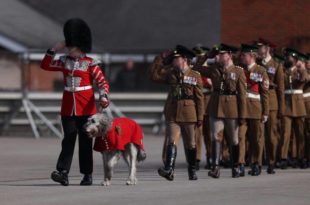 Royal arrival, Traditional shamrock, Pinning on the dog, Kate's outfit in full, Presenting shamrock, A laugh at the parade, Flower girl, Seamus leads the parade, Group photo