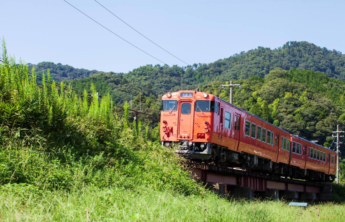 週末は山陰へ！選べる3つの「のんびりパス」, 概要：目的で選べるおトクな周遊きっぷ, 【鳥取のんびりパス】砂丘も妖怪も満喫！コスパ最強の旅へ, 水木しげる記念館が新たにセット！, 【松江・出雲のんびりパス】名園と城下町を巡るお出かけ, 足立美術館や松江城で歴史とアートに触れる, 【山陰のんびりパス】3日間で鳥取・島根のイイトコ取り！, 広いエリアを特急ワープで効率よく