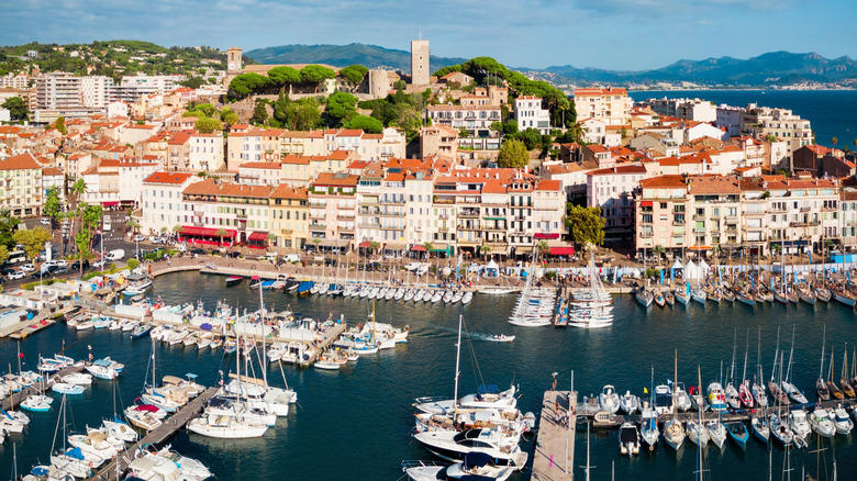 Cannes, France, Barcelona, Spain, Amsterdam, Netherlands, Valencia, Spain, Juneau, Alaska