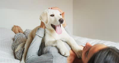 犬の『メンタルが崩壊する』絶対NG行為５選, 1.物理的な暴力を加える, 2.毎日のように大声で怒鳴りつける, 3.愛犬からのサインを無視し続ける, 4.甘えてくる犬を強く拒絶する, 5.散歩や食事などの最低限のお世話を怠る, 犬のメンタルが崩壊しているサイン, メンタルが崩れてしまった犬のケア方法