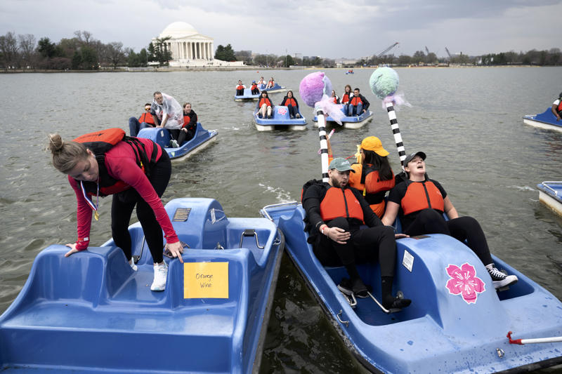 1. What’s the best time to come to the festival? , 2. When will the cherry blossoms really be in bloom? , 3. When is the best time to see the cherry blossoms in person? , 4. What’s the best way to get to the Tidal Basin? , 5. What else is there to do at the Tidal Basin besides look at flowering trees? , 6. What impact will Tidal Basin construction have on visiting the festival? , 7. Where can we eat and drink — and use the bathroom — near the blossoms? , 8. The Tidal Basin is too crowded. Where else can I see cherry blossoms in the D.C. area? , 9. What are the best things to do with the kids? , 10. What are the best activities for adults? , 11. Do any museums have cherry-blossom-related exhibits or activities? , 12. Which restaurants have cherry blossom dishes or cocktails?
