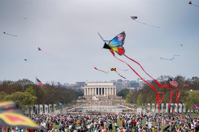 1. What’s the best time to come to the festival? , 2. When will the cherry blossoms really be in bloom? , 3. When is the best time to see the cherry blossoms in person? , 4. What’s the best way to get to the Tidal Basin? , 5. What else is there to do at the Tidal Basin besides look at flowering trees? , 6. What impact will Tidal Basin construction have on visiting the festival? , 7. Where can we eat and drink — and use the bathroom — near the blossoms? , 8. The Tidal Basin is too crowded. Where else can I see cherry blossoms in the D.C. area? , 9. What are the best things to do with the kids? , 10. What are the best activities for adults? , 11. Do any museums have cherry-blossom-related exhibits or activities? , 12. Which restaurants have cherry blossom dishes or cocktails?