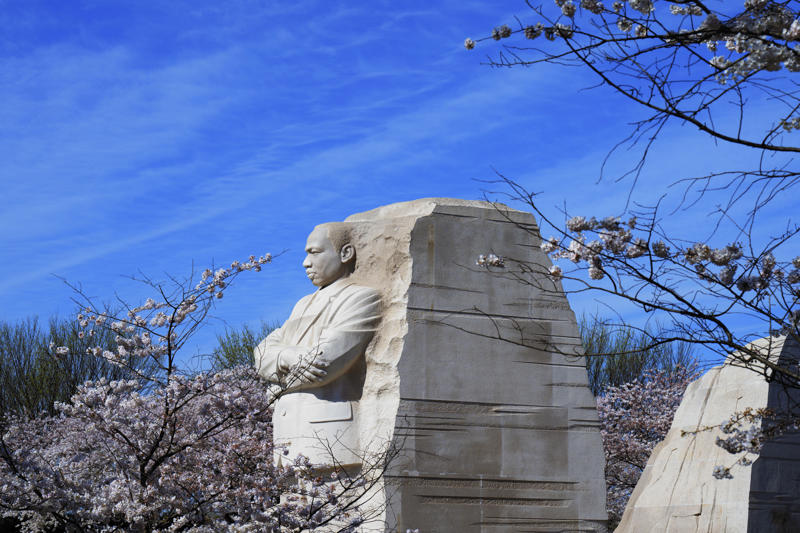 1. What’s the best time to come to the festival? , 2. When will the cherry blossoms really be in bloom? , 3. When is the best time to see the cherry blossoms in person? , 4. What’s the best way to get to the Tidal Basin? , 5. What else is there to do at the Tidal Basin besides look at flowering trees? , 6. What impact will Tidal Basin construction have on visiting the festival? , 7. Where can we eat and drink — and use the bathroom — near the blossoms? , 8. The Tidal Basin is too crowded. Where else can I see cherry blossoms in the D.C. area? , 9. What are the best things to do with the kids? , 10. What are the best activities for adults? , 11. Do any museums have cherry-blossom-related exhibits or activities? , 12. Which restaurants have cherry blossom dishes or cocktails?