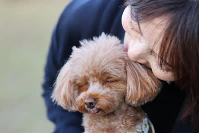 犬が嫌がる絶対NGな「触り方」5選, 1.頭を上から急に触る, 2.寝ている時に無理やり触る, 3.足先やしっぽを握る, 4.抱っこで無理に拘束する, 5.毛並みに逆らって激しくなでる, 犬が「やめて！」と思っている時のサイン, 愛犬に信頼される「正しいスキンシップ」のコツ