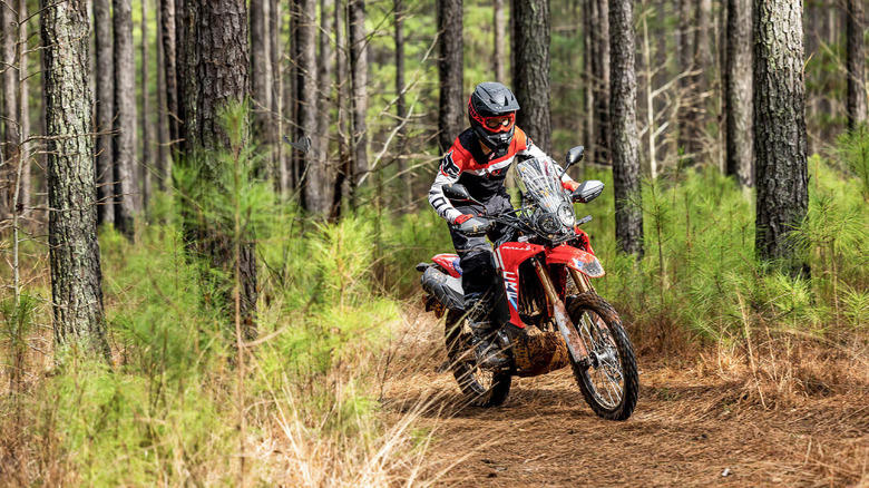 Honda Gold Wing GL1800, (Any) Kawasaki Vulcan, BMW R1200 RT, Honda CBR1000 RR, Suzuki Hayabusa, Any Harley Tourer with the 103, Honda CRF300L Rally