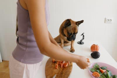 犬に野菜を与えるときのタブー, 大きいサイズで与える, 適正量以上を与える, 種子や皮ごと与える, NG食材と一緒に調理したものを与える, 絶対NG！調理法にかかわらず与えてはいけない野菜, 長ネギ・たまねぎ