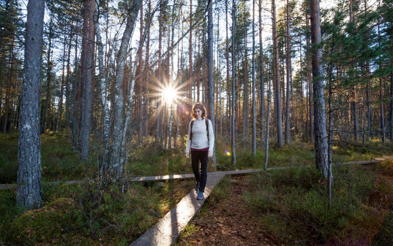 Five Nordic holidays to make you smile, Senja, Norway, East Coast, Iceland, Stockholm Archipelago, Sweden, Lake Saimaa, Finland, Copenhagen, Denmark