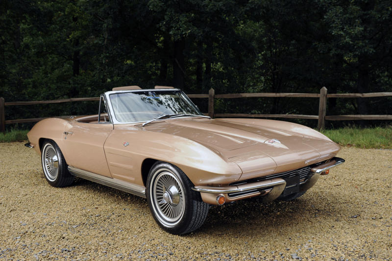 Classic automobiles named after wildlife, Volkswagen Beetle, Chevrolet Corvette Stingray, Chevrolet Impala, Plymouth Road Runner, Shelby Cobra, Mercury Cougar, Ford Puma, Hudson Hornet, Rambler Marlin, Chevrolet Bison, Studebaker Lark, Ford Raptor, Alfa Romeo Spider