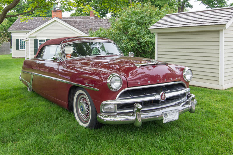 Classic automobiles named after wildlife, Volkswagen Beetle, Chevrolet Corvette Stingray, Chevrolet Impala, Plymouth Road Runner, Shelby Cobra, Mercury Cougar, Ford Puma, Hudson Hornet, Rambler Marlin, Chevrolet Bison, Studebaker Lark, Ford Raptor, Alfa Romeo Spider