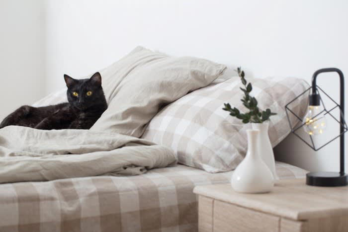 猫が布団を占領する5つの理由, 1.飼い主のニオイで安心したい, 2.暖かくて心地よい, 3.飼い主と一緒にいたい, 4.自分の縄張りにしたい, 5.飼い主の反応を学習している, 注意すべきポイント, 代わりに快適な寝床を用意する, 就寝前にしっかり遊ぶ, ルールを一貫させる