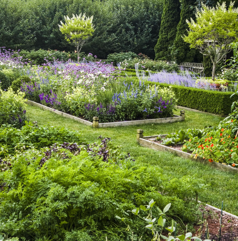 Rewilding the Lawn, Pollinator-Friendly Planting, Foodscaping, Tech in the Garden, Propagation