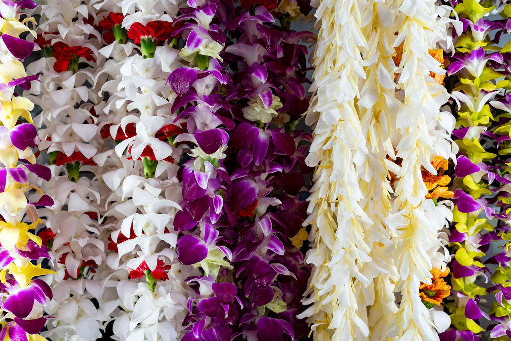 Lei are synonymous with Hawaii, An effort to regulate lei, There is a hierarchy to the flowers, Concerns about cost