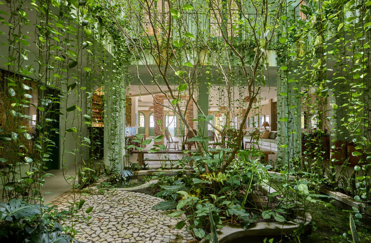 Rewilding the Lawn, Pollinator-Friendly Planting, Foodscaping, Tech in the Garden, Propagation