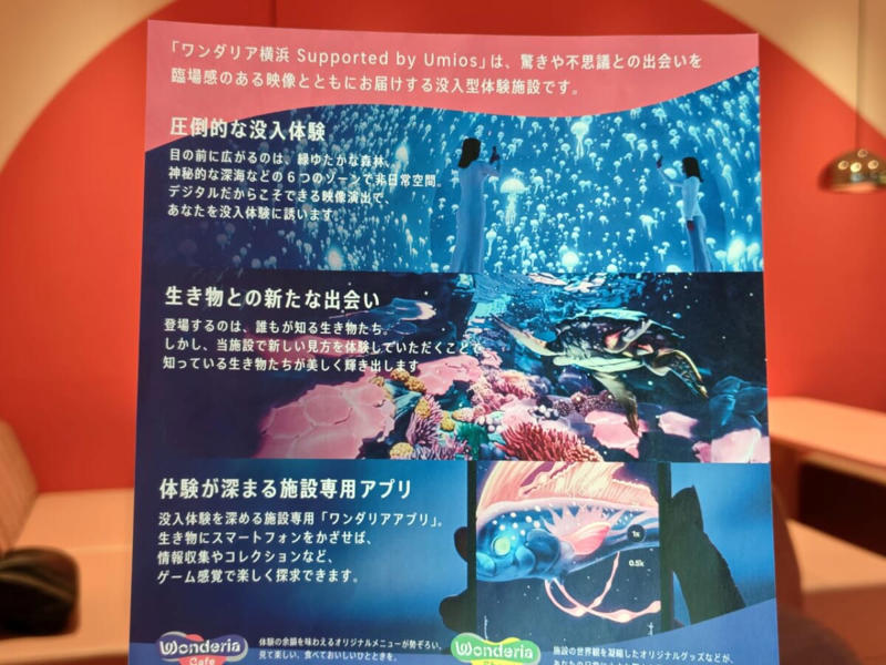 驚きと感動を知識につなげる！ワンダリア横浜, 空から都市へ旅する6つのゾーン, ゾーン2「ダイブ・トゥ・ブルー」を先行体験, 「横浜バニラ」とショップでコラボ, 横浜の遊びと憩いの新拠点に