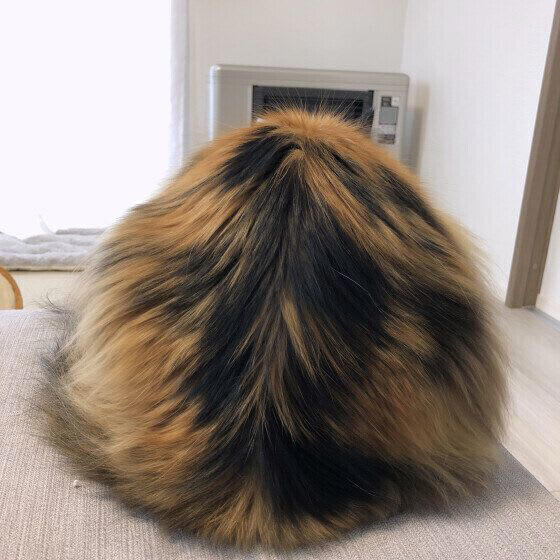 A. 仲間だと認識しているわけではなく、興味深いので観察しているのでしょう, A. 猫がお尻を向けるのは、相手を信頼しているサインです, A. 野生の習性の名残でしょう, A. 不快なときに見せるしぐさかも