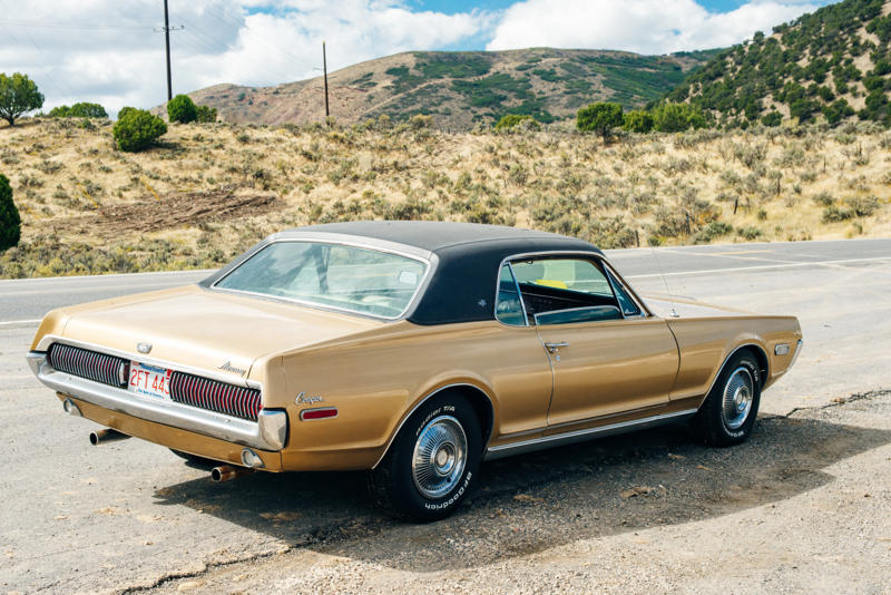 Classic automobiles named after wildlife, Volkswagen Beetle, Chevrolet Corvette Stingray, Chevrolet Impala, Plymouth Road Runner, Shelby Cobra, Mercury Cougar, Ford Puma, Hudson Hornet, Rambler Marlin, Chevrolet Bison, Studebaker Lark, Ford Raptor, Alfa Romeo Spider