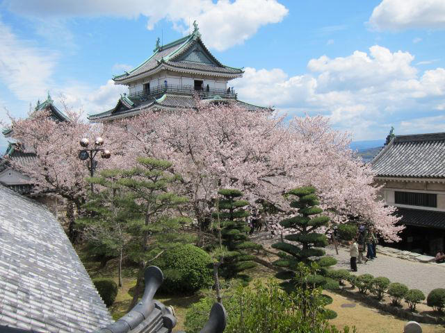 紀三井寺／和歌山市南部, 和歌山城公園／和歌山市中心部, 道の駅 四季の郷公園／和歌山市東部, 高津子山（たかつしやま）展望台／和歌山市南部, 御手洗池公園／和歌山市南部