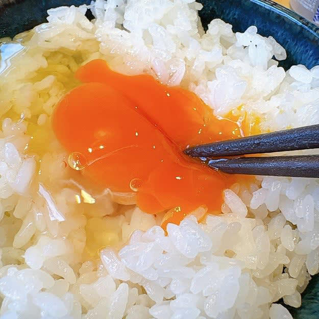 ココスでは、500円以下で食べられる「やみつきモーニング」を販売中です。, シンプルで、朝にちょうどいいセット！, 濃いオレンジ色の卵の黄身にびっくりしました！, 濃厚な卵の味わいにうっとり！, しょうゆとあおさで味の変化が楽しめる！, みそ汁は、ホッとする味わいです。, やさしい甘さの付け合わせも、ご飯に合う！, ドリンクバーは種類が豊富！, 旅館の朝ご飯のような味わいがワンコインで楽しめて幸せ！, モーニングといえば、松屋の「豚汁朝定食」もおすすめです。, 豚汁には具材が9種類も入っています。