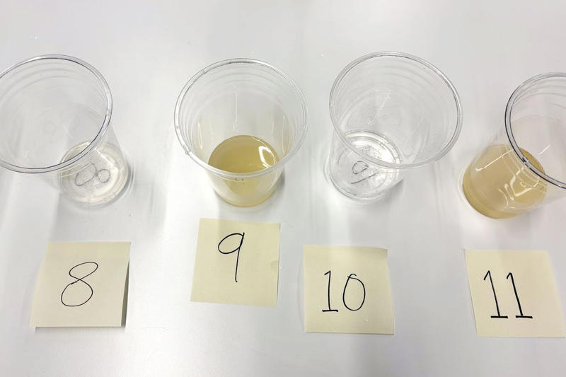 How we selected the ginger beers, How we tested, Best overall: Fever-Tree Premium Ginger Beer, Most versatile: Franklin & Sons Brewed Ginger Beer, Most surprising: Betty Buzz Ginger Beer, The full list of contenders, ranked from highest to lowest