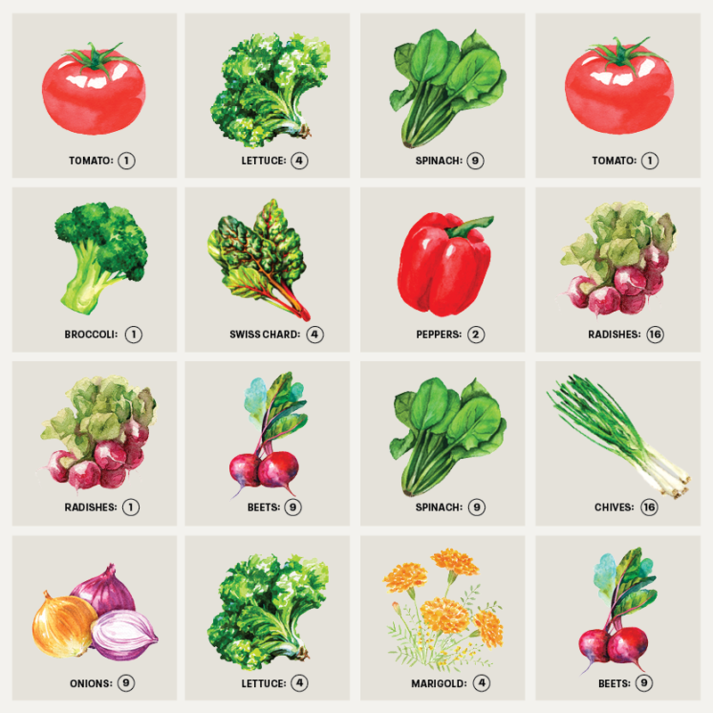 What Is a Square Foot Garden? , The Pros and Cons of Square Foot Gardening, How to Set up a Square Foot Garden, The Rules of Square Foot Gardening , What to Plant in a Square Foot Garden